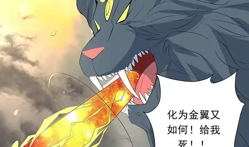 《最强神兽系统》第171话 枭雄的陨落 第12页