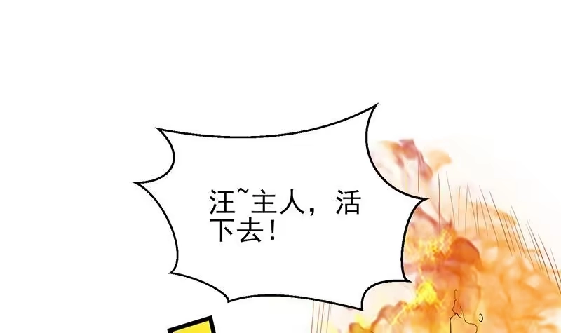 《最强神兽系统》第18话 以魂魄为代价 第37页