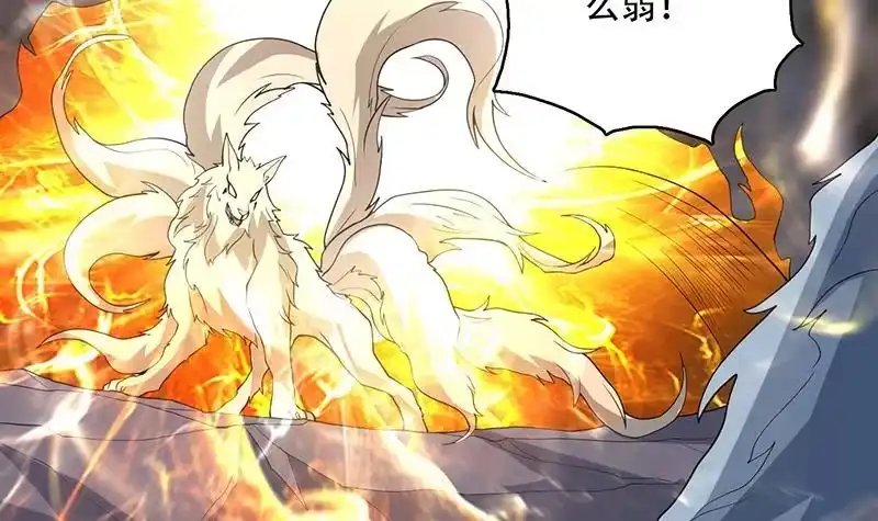 《最强神兽系统》第191话 主人的庇佑 第27页
