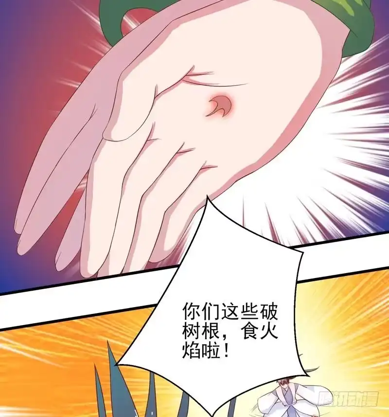 《最强神兽系统》第26话 黑豹出没 第14页