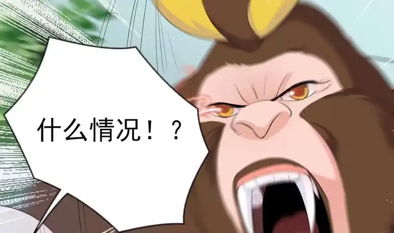 《最强神兽系统》第31话 命悬一线 第41页