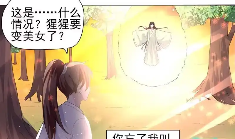 《最强神兽系统》第33话 新外挂来了 第7页