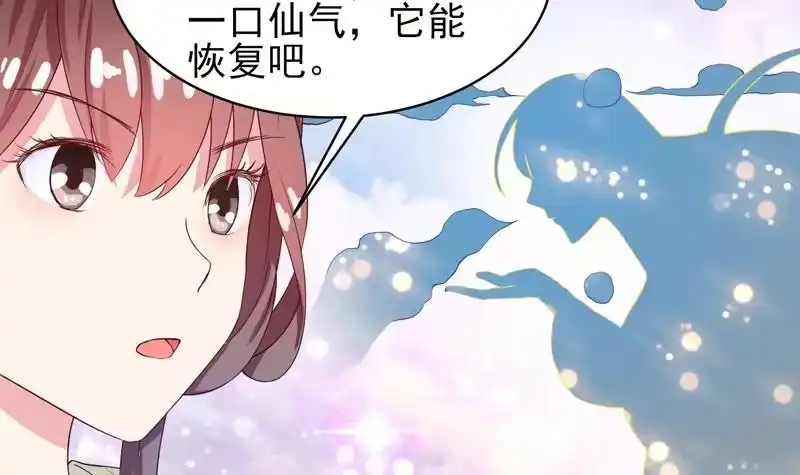 《最强神兽系统》第34话 不死不休的追袭 第12页