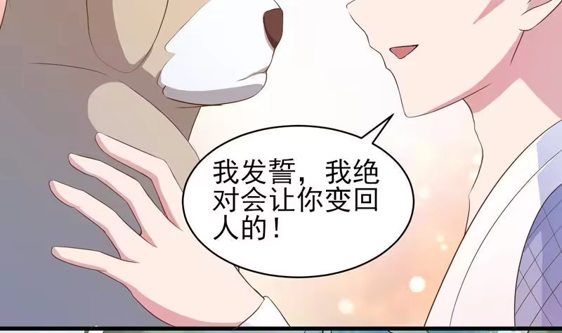 《最强神兽系统》第34话 不死不休的追袭 第19页