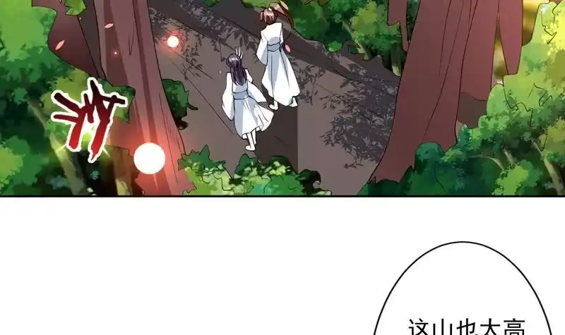 《最强神兽系统》第88话 猛兽出没 第4页