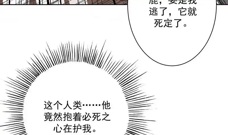《最强神兽系统》第96话 在劫难逃了 第25页
