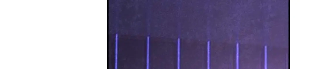 《罪兽之绊》罪兽九十六话 第35页