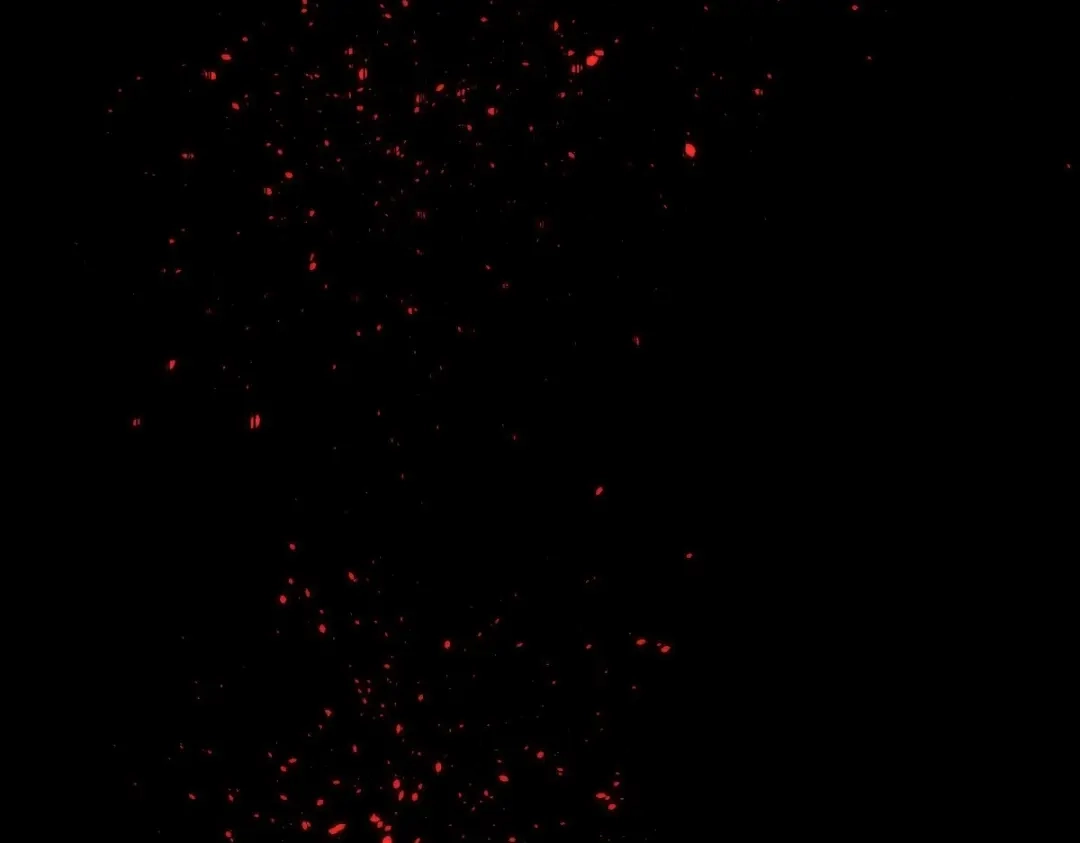 《罪兽之绊》罪兽一百话 第129页