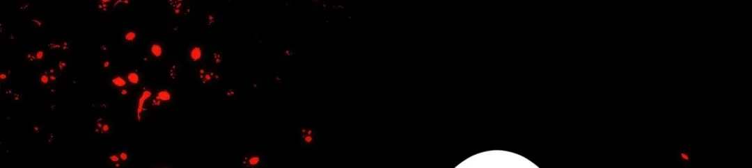 《罪兽之绊》罪兽106话 第77页