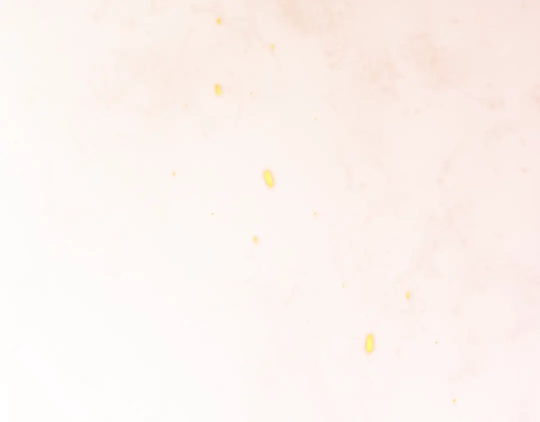 《最终魂意》第74话 女皇战英 第93页