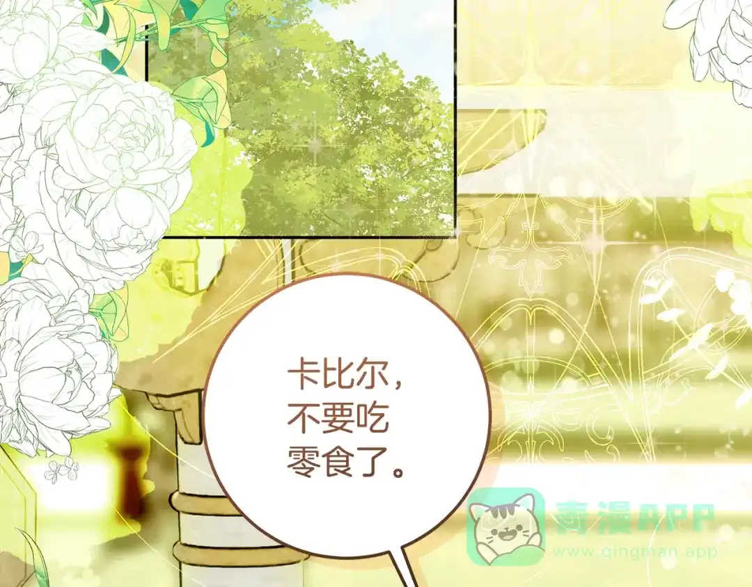 《做好被离婚的准备》第1话 大气稳重的夫人 第196页