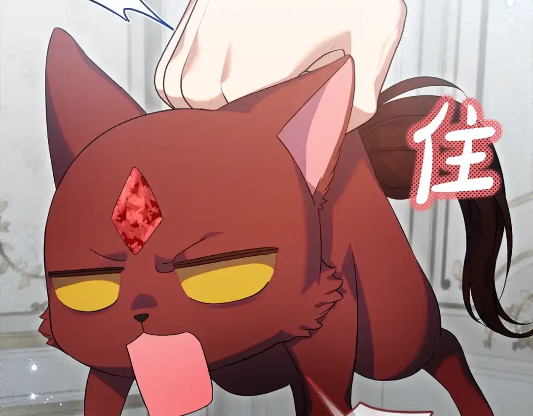 《做好被离婚的准备》第27话 武器都拿好 第167页
