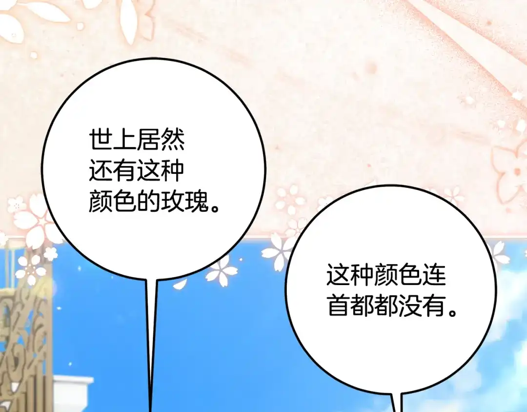 《做好被离婚的准备》第33话 玫瑰花纷争 第41页