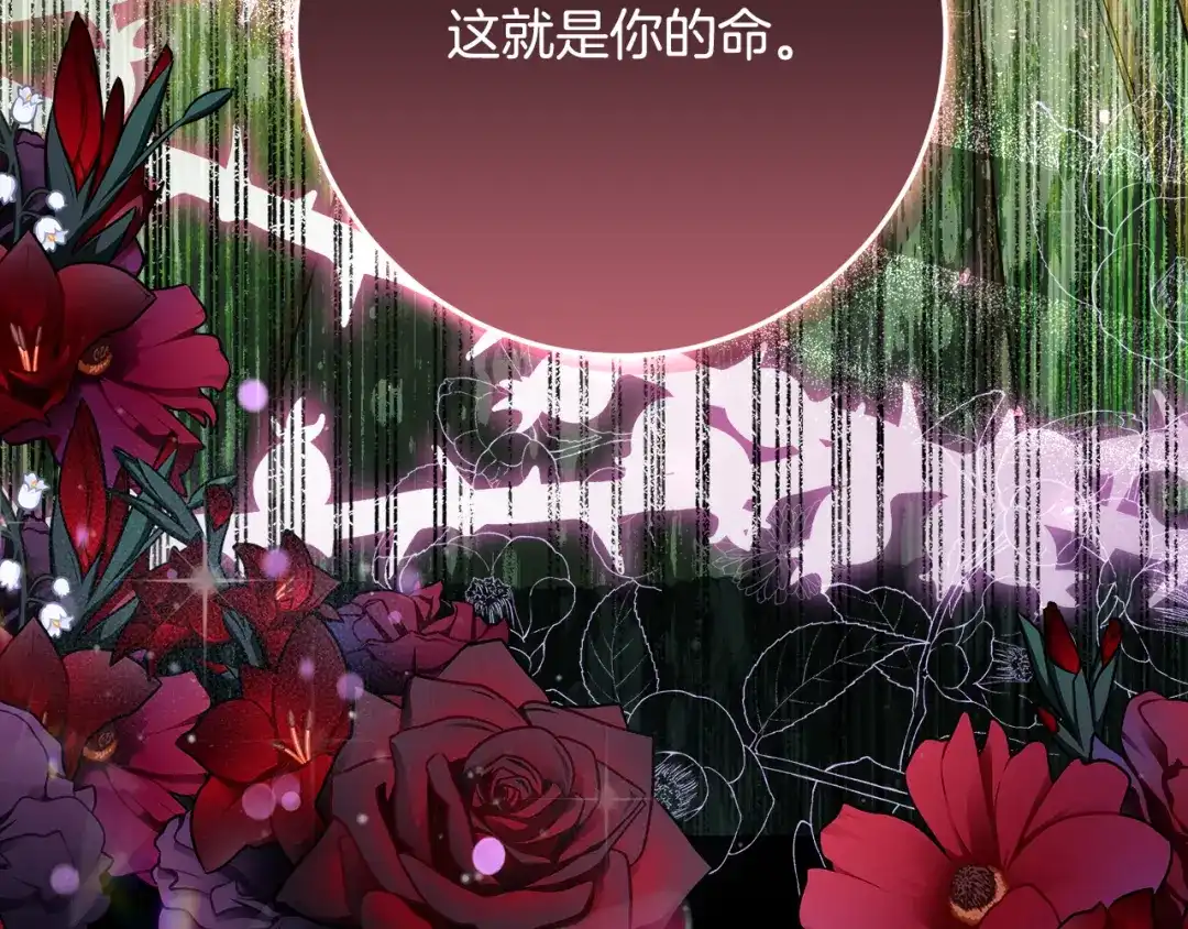 《做好被离婚的准备》第5话 偶遇商团团主 第222页