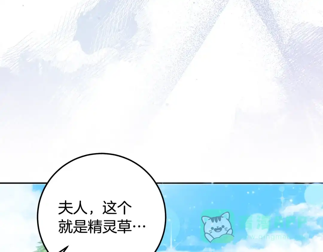 《做好被离婚的准备》第6话 苦涩的精灵草 第161页