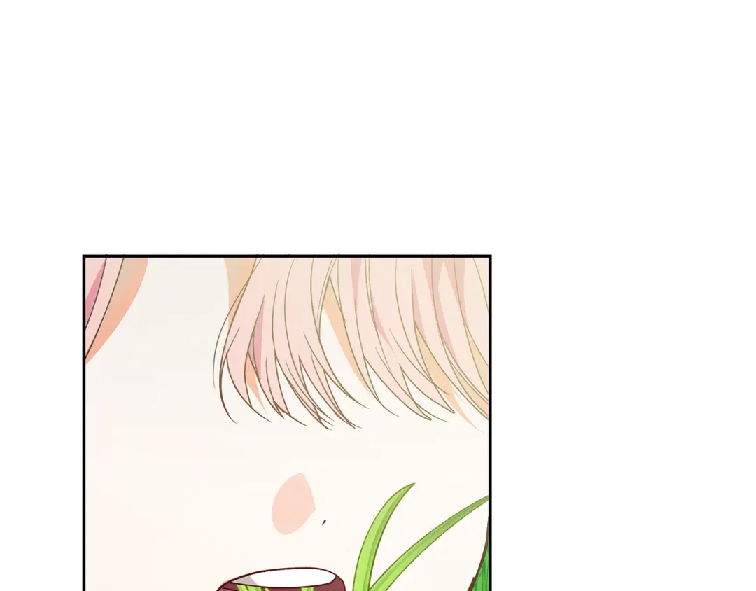 《做好被离婚的准备》第6话 苦涩的精灵草 第164页