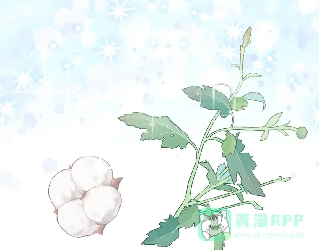 《做好被离婚的准备》第6话 苦涩的精灵草 第216页
