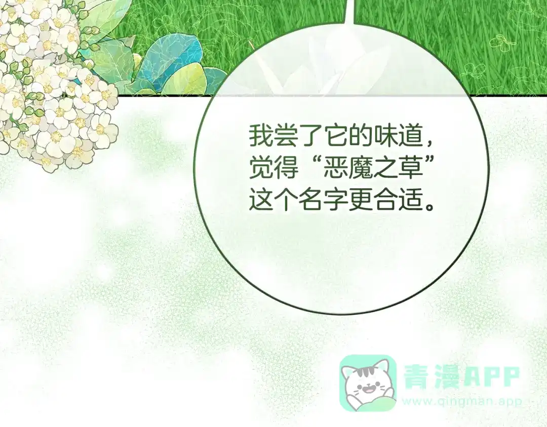 《做好被离婚的准备》第6话 苦涩的精灵草 第186页