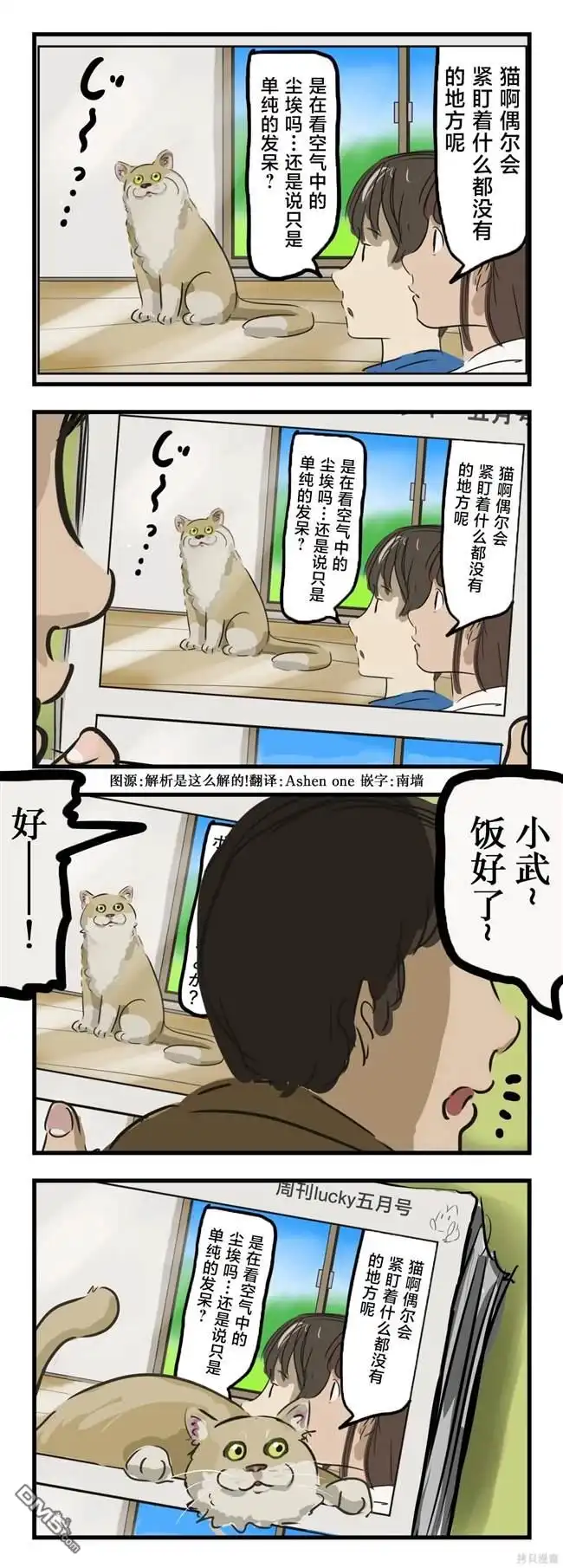 《カコミスル老师四格合集》猫在看 第1页