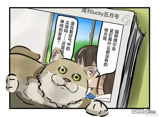 《カコミスル老师四格合集》猫在看 第2页