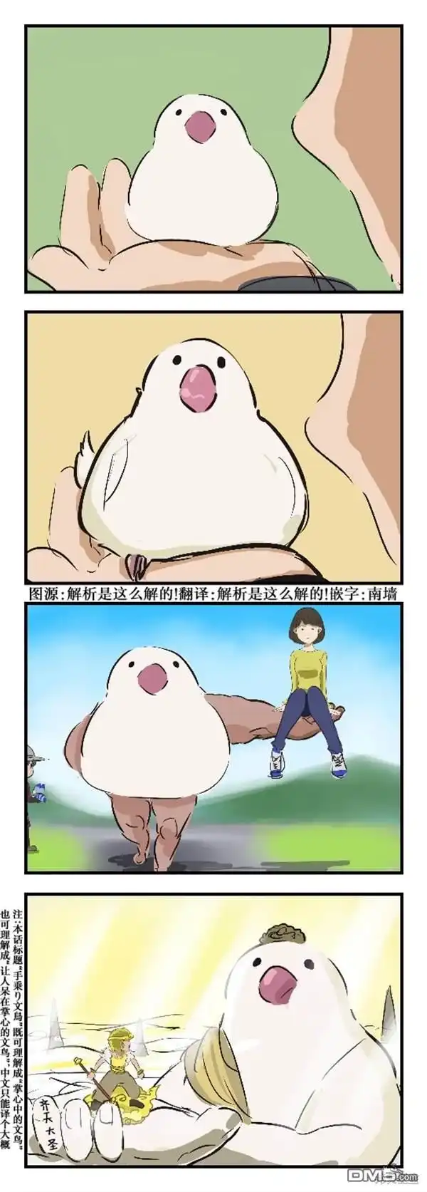 《カコミスル老师四格合集》掌心文鸟 第1页