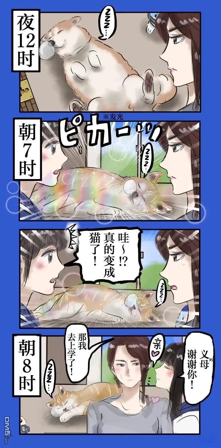 《カコミスル老师四格合集》白天是猫，夜间是狗 第2页