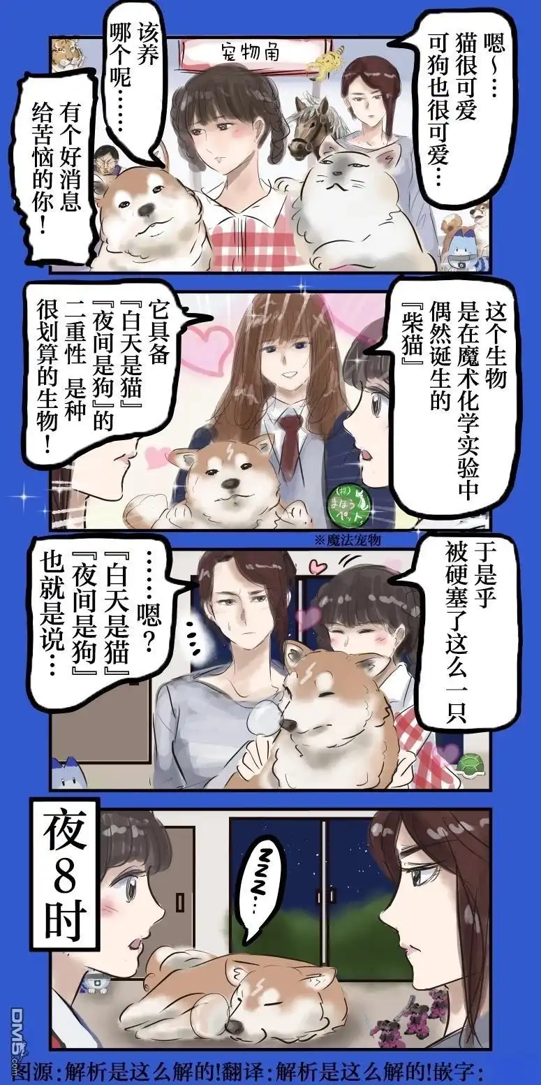 《カコミスル老师四格合集》白天是猫，夜间是狗 第1页