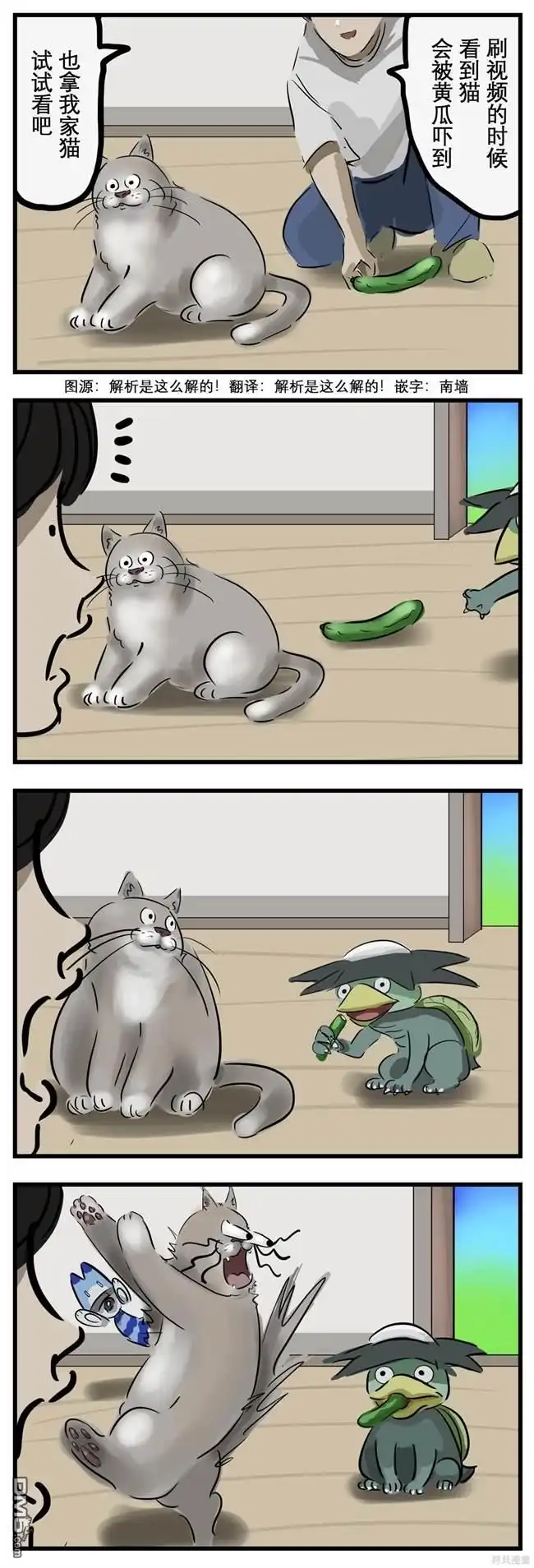 《カコミスル老师四格合集》受惊的猫1 第1页