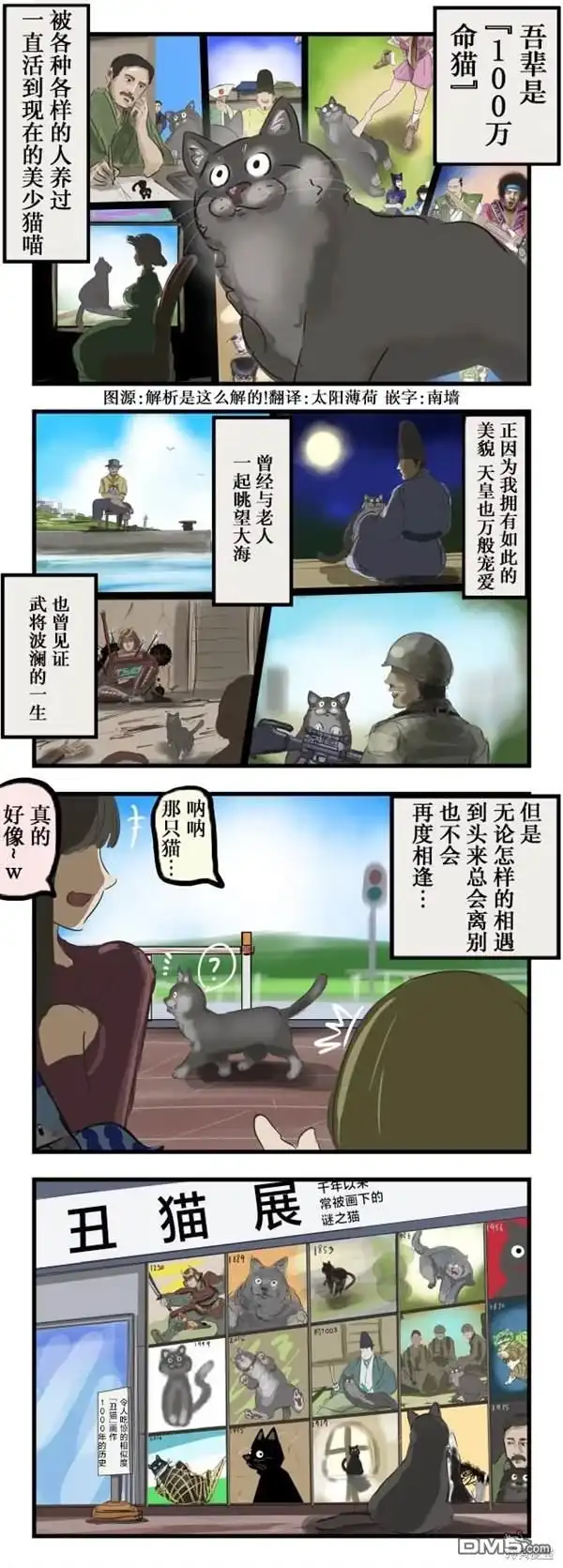 《カコミスル老师四格合集》100万命猫的重逢 第1页