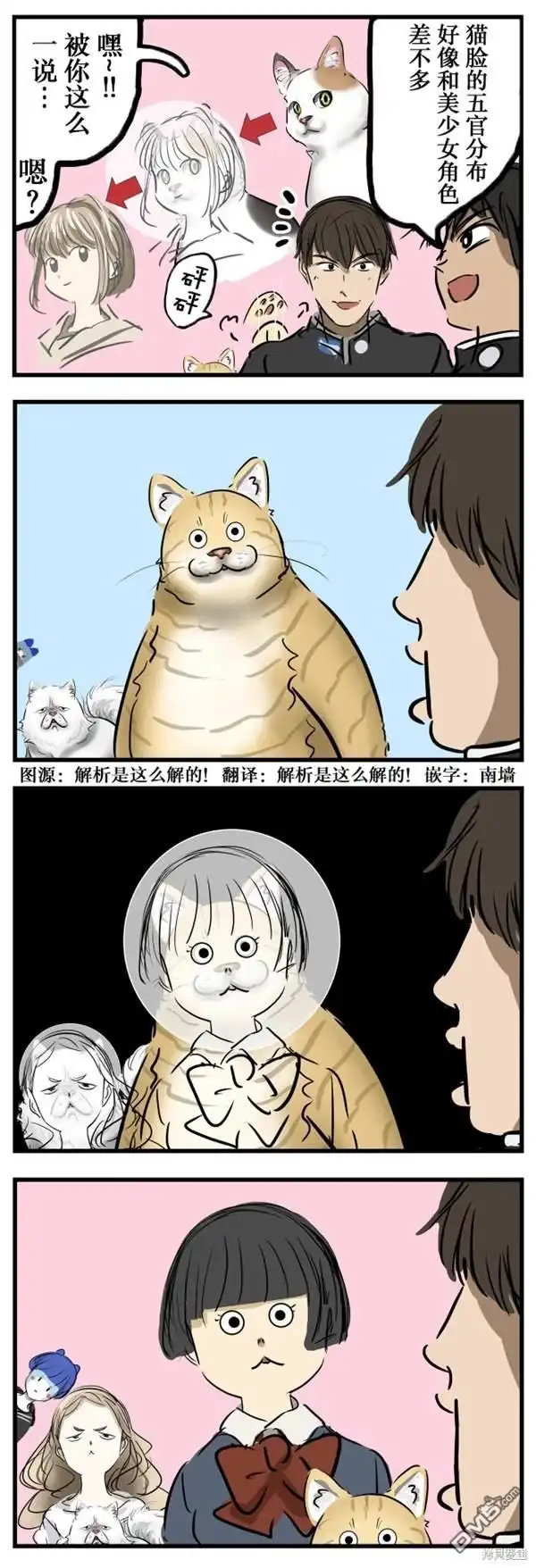 《カコミスル老师四格合集》由猫而来 第1页