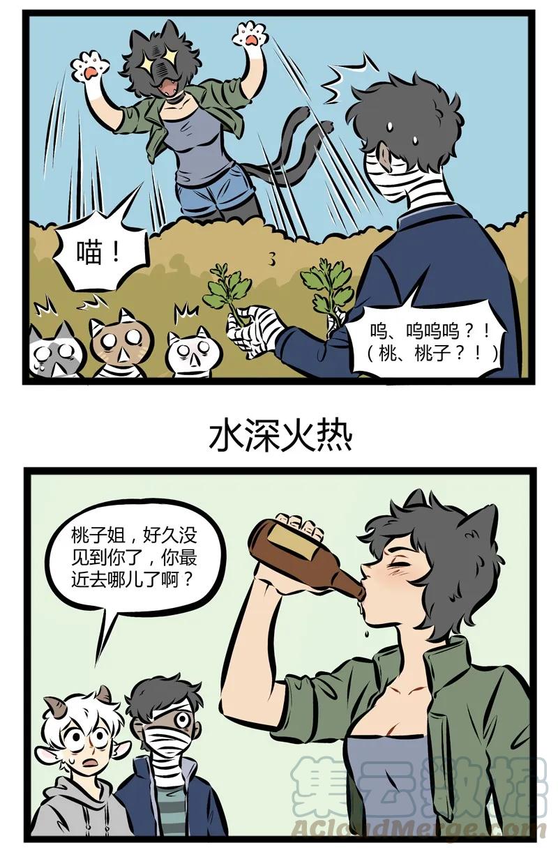 1031万圣街 第134话 猫咪总是在你停止找它的时候出现。 第3页