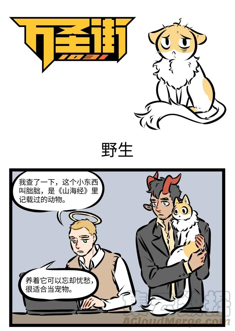 1031万圣街 第245话 何以解忧，唯有撸猫！ 第1页
