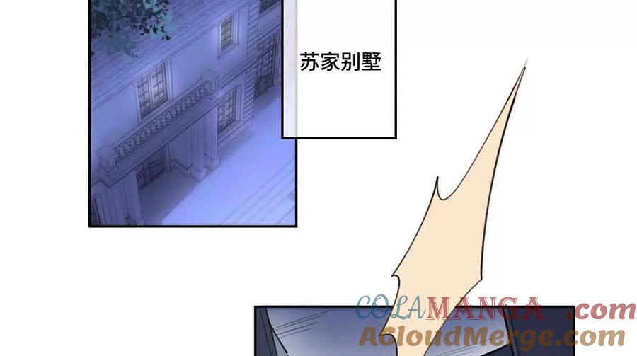 《白天被逃婚晚上被奶凶指挥官求抱》41 离婚了 第13页