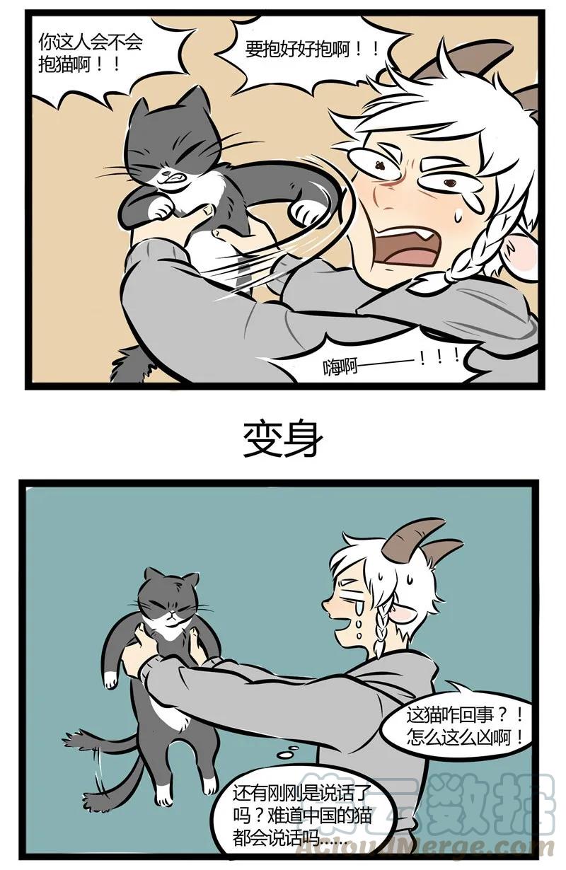1031万圣街 【第5话】 路边的野猫，你不要睬。 第3页