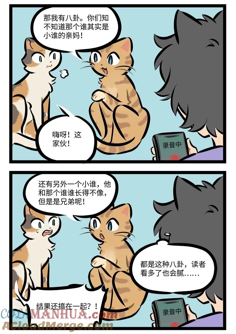 1031万圣街 第766话 猫猫队 第2页