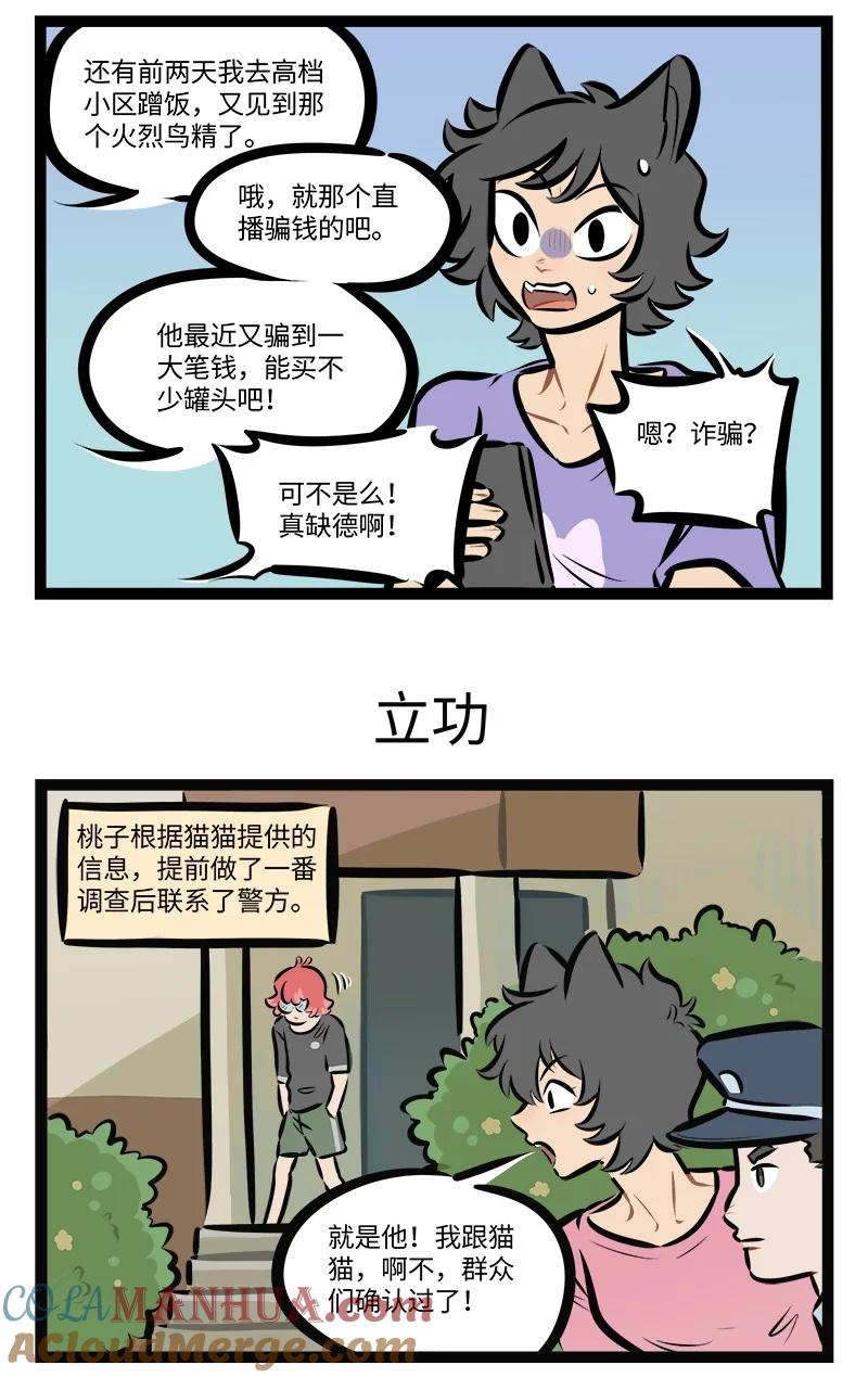 1031万圣街 第766话 猫猫队 第3页