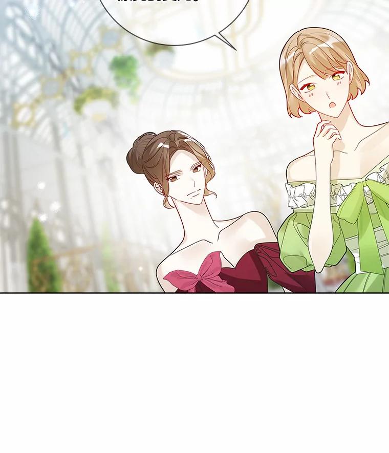 《龙套大公子妃的花路人生》32.茶话会 第64页