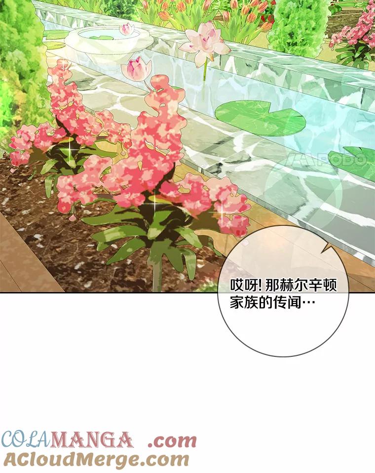 《龙套大公子妃的花路人生》32.茶话会 第69页