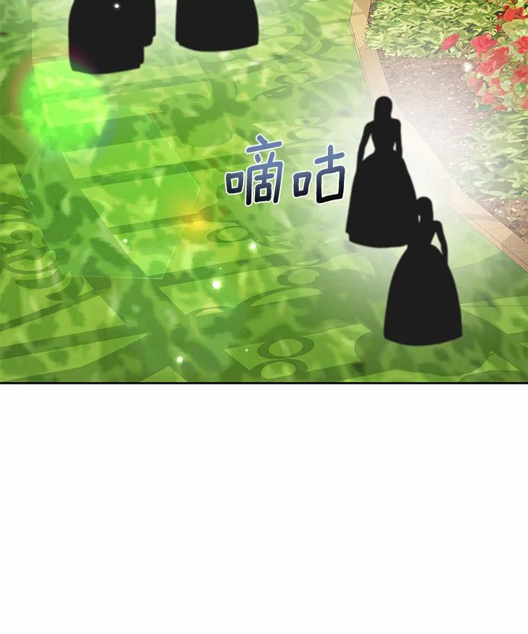 《龙套大公子妃的花路人生》32.茶话会 第82页