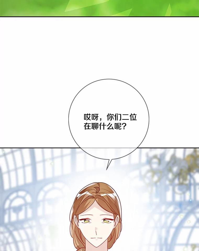 《龙套大公子妃的花路人生》32.茶话会 第88页