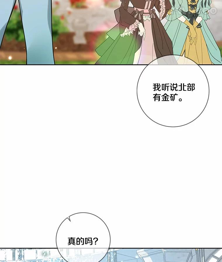 《龙套大公子妃的花路人生》32.茶话会 第55页