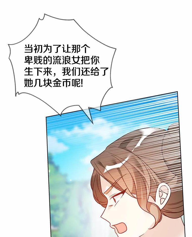 《龙套大公子妃的花路人生》33.有其母必有其女 第34页