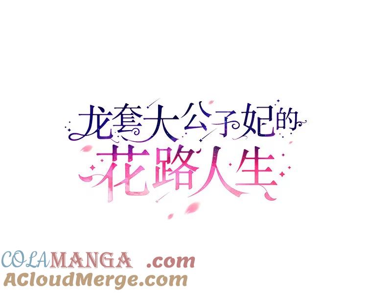 《龙套大公子妃的花路人生》36.被绑架 第49页
