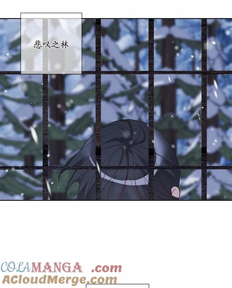 《龙套大公子妃的花路人生》36.被绑架 第53页