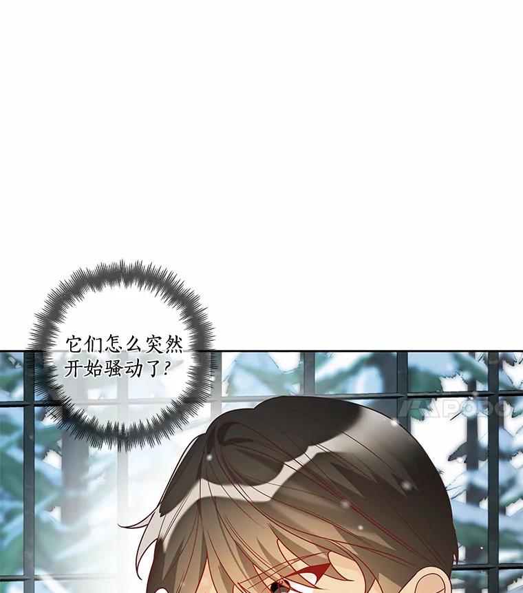 《龙套大公子妃的花路人生》36.被绑架 第111页