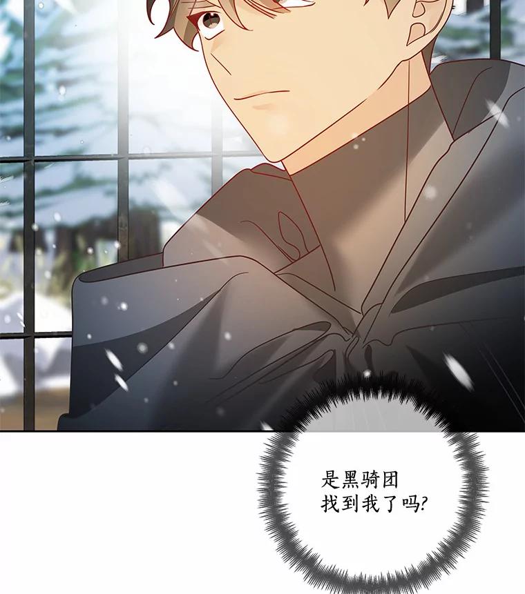 《龙套大公子妃的花路人生》36.被绑架 第112页