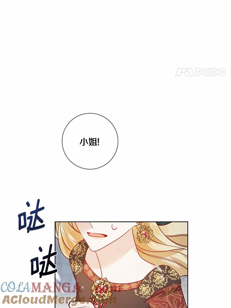 《龙套大公子妃的花路人生》36.被绑架 第77页