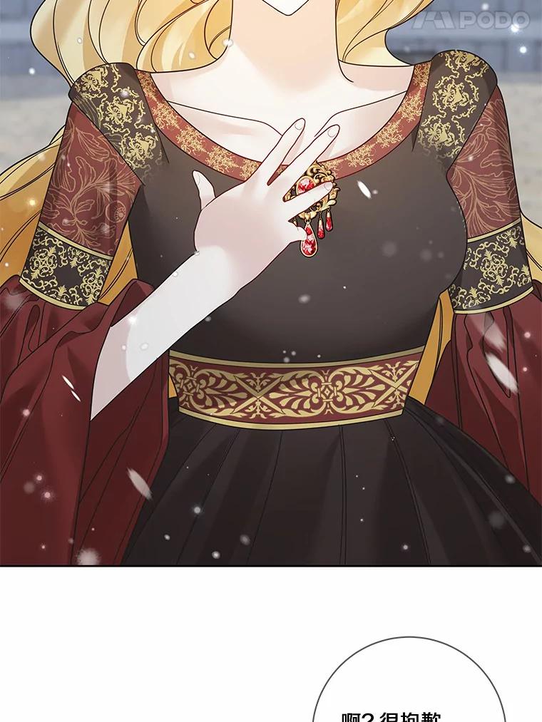 《龙套大公子妃的花路人生》36.被绑架 第74页