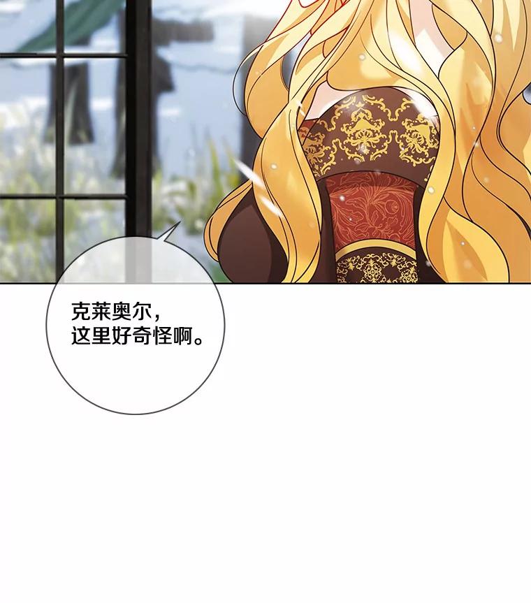 《龙套大公子妃的花路人生》37.魔物之王 第14页