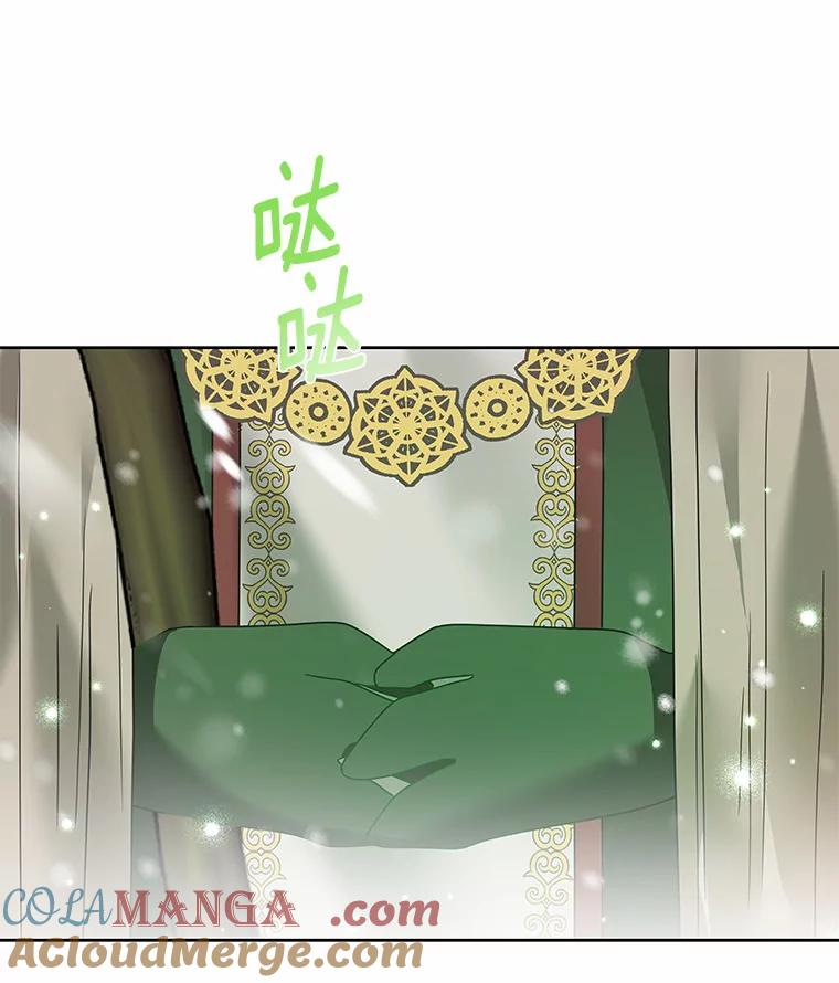 《龙套大公子妃的花路人生》37.魔物之王 第25页